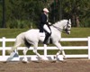 Jodie Kelly and Manhattan warming up for the FEI Grand Prix Championship on Sunday