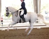 Jodie Kelly and Manhattan in the FEI Grand Prix Championship on Sunday