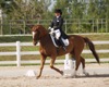 Lora Kay Witterstaeter and Weltschatz