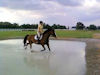 Phantom made it in the water on the second day with a lot of convincing and Jodie in the water in her rain boots.<br /><br />