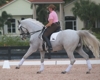 Jodie Kelly and Manhattan
