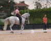 Jodie Kelly and Manhattan with Courtney King-Dye