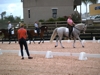 Jodie Kelly and Manhattan with Courtney King-Dye