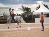 Jodie Kelly and Manhattan with Courtney King-Dye
