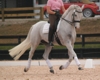 Jodie Kelly and Manhattan