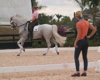 Jodie Kelly and Manhattan with Courtney King-Dye