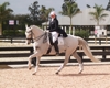 Jodie Kelly and Manhattan with Courtney King-Dye