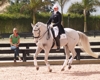Jodie Kelly and Manhattan with Courtney King-Dye