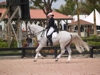 Jodie Kelly and Manhattan