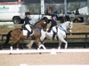 Catherine Morelli aboard Be Se, Jodie Kelly and Manhattan's Victory Gallop
