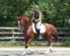 Beth Godwin and Apalto