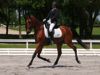 Beth Godwin and Caymus - Image 1 of 10