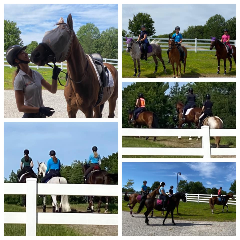 Jodie Kelly Dressage, Inc. - News